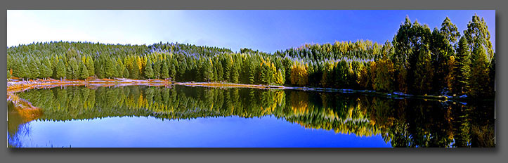 Coal Pit Dam Naseby Forest Central Otago