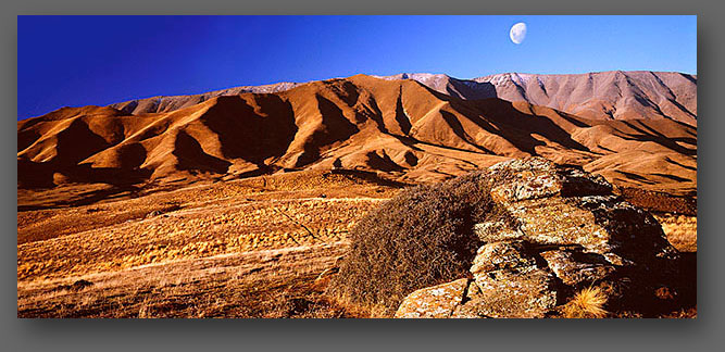 Central Otago Landscape Tours