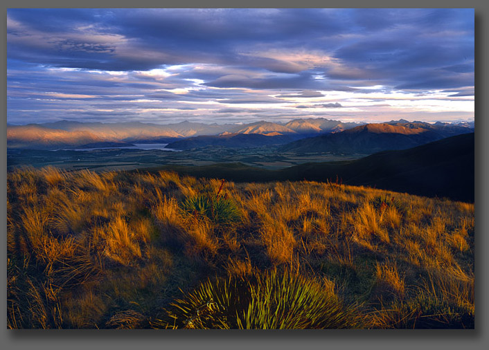 Wanaka Landscapes