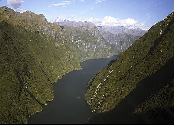 Pure NZ