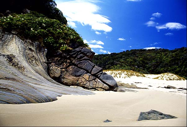 Fiordland Geology