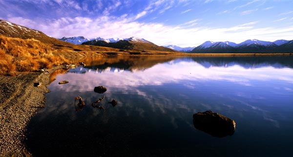 South Island Nature Safaris