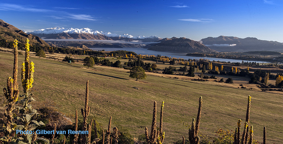 Wanaka U3A