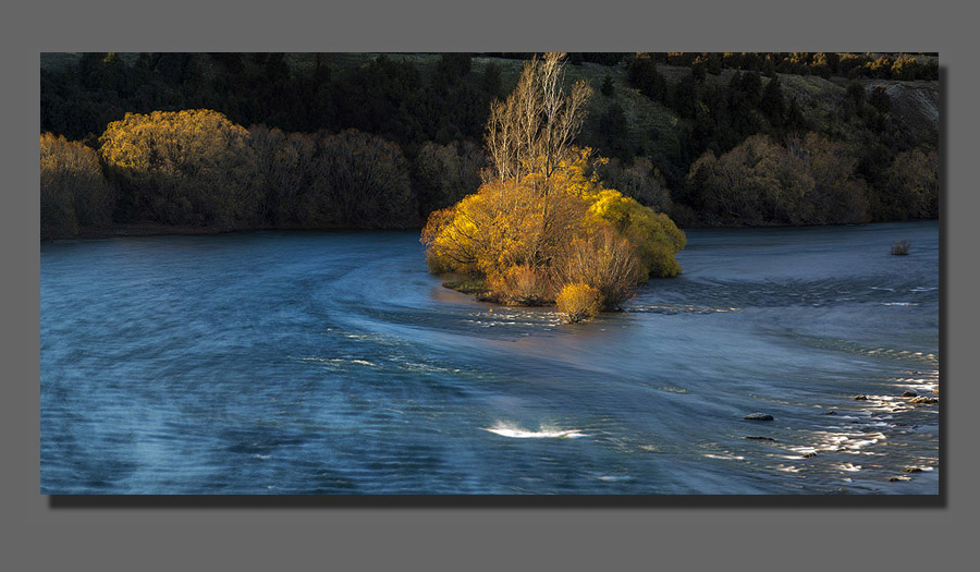  Green NZ Photos