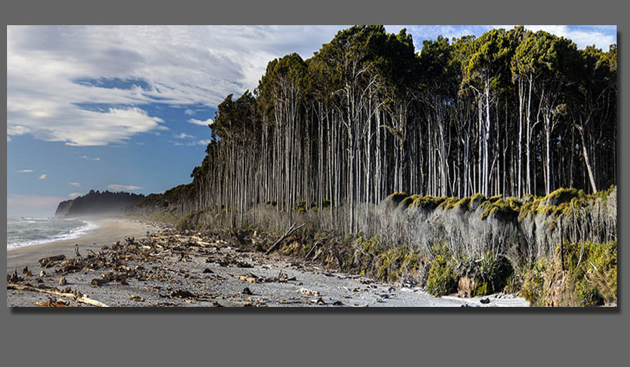  Iconic NZ Photos