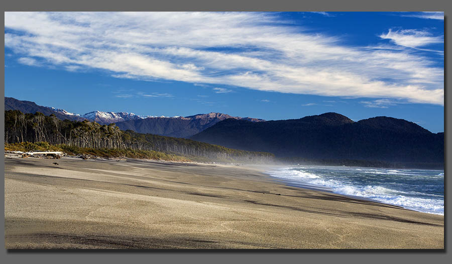  NZ Vineyard Photos